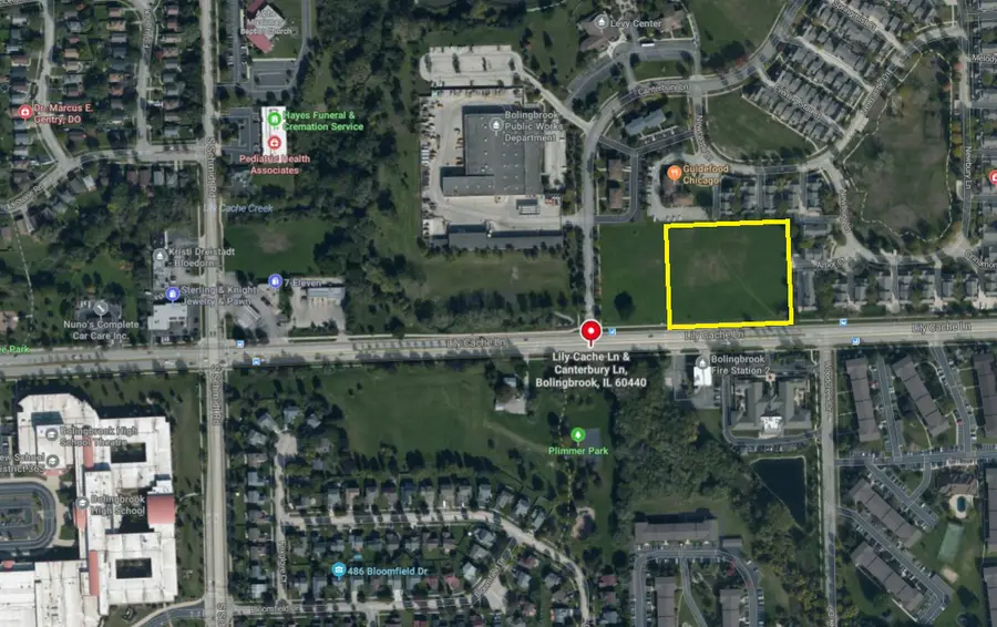 Lot 5C and 5D Lily Cache Lane, Bolingbrook, IL 60440 - #3