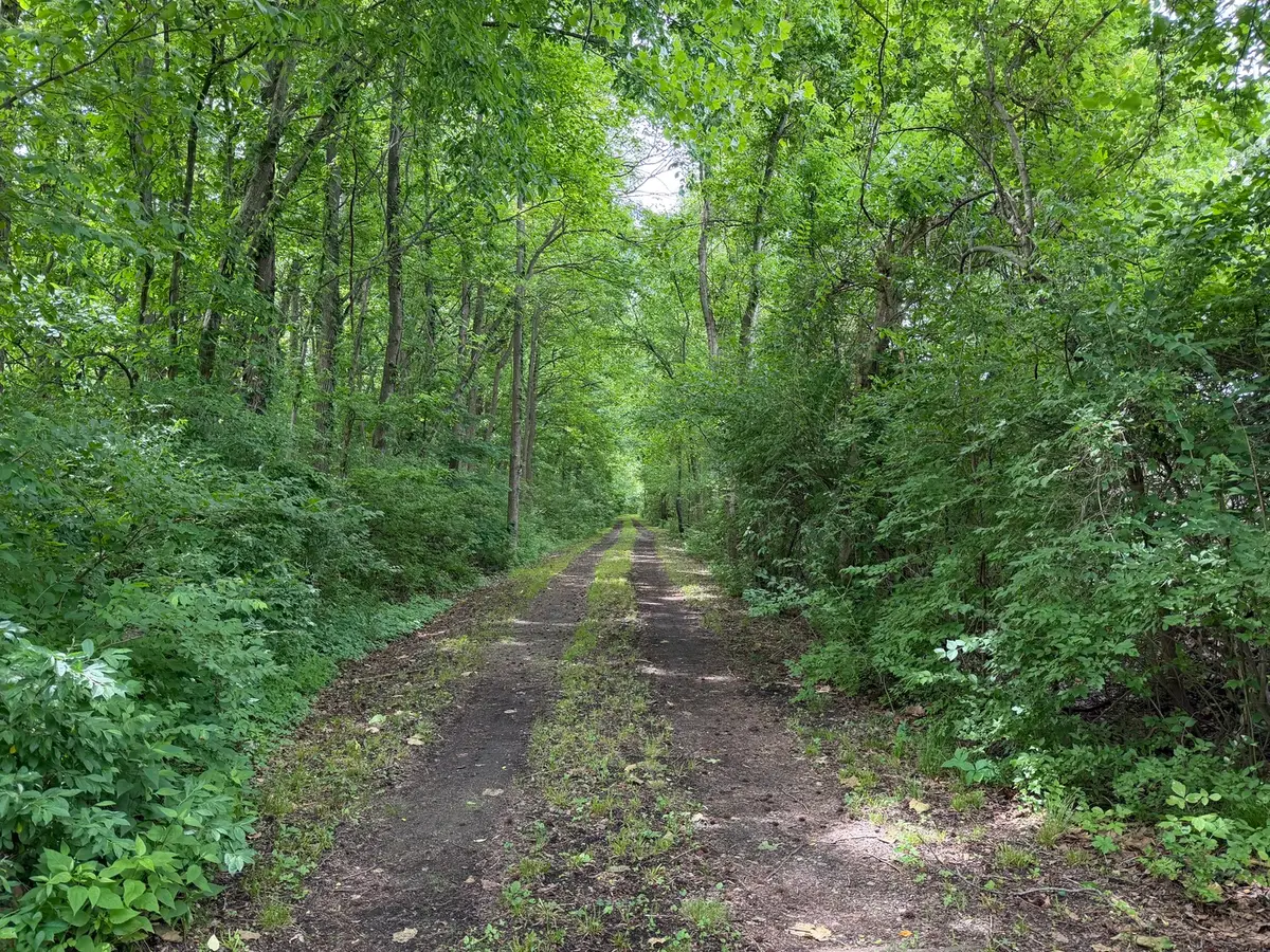 00 Shoemaker Drive, Murphysboro, IL 62966 - #1
