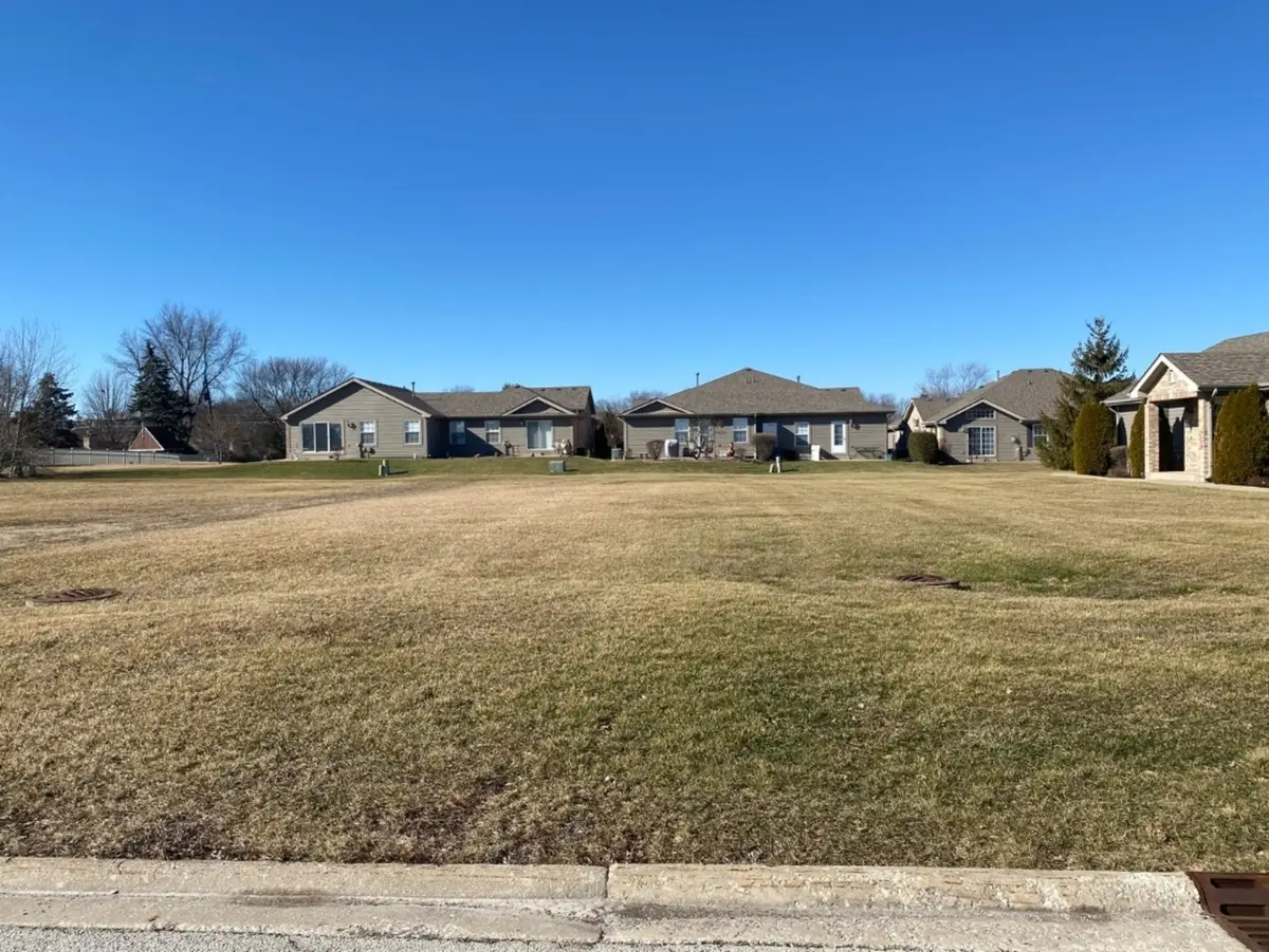 916 Lange Avenue, Beecher, IL 60401 - #1