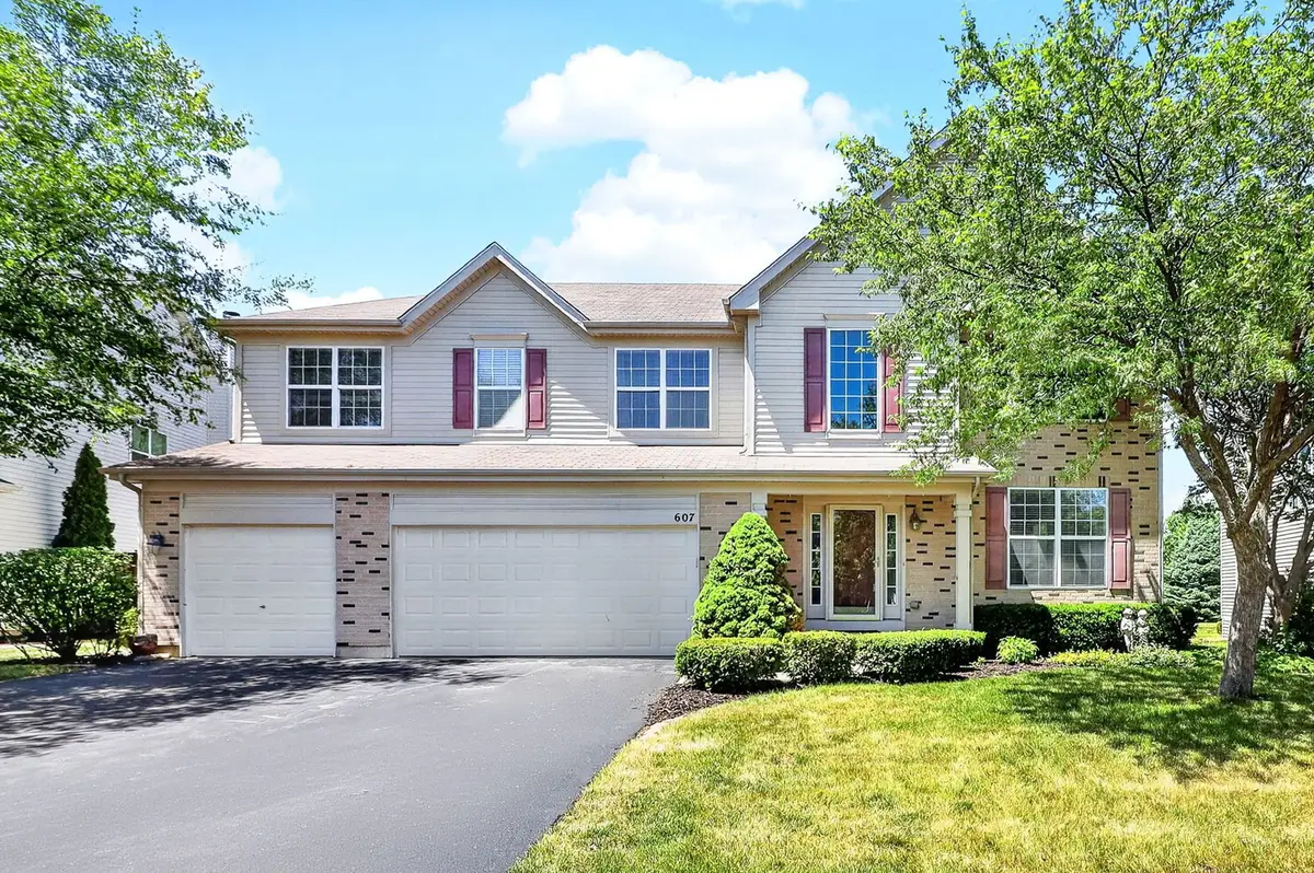 607 Mansfield Way, Oswego, IL 60543 - #1