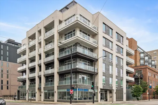 236 S Racine Avenue #304, Chicago, IL 60607