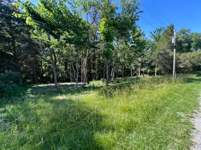 0000 Lakeshore Dr South, Goreville No 2, IL 62959 - #1