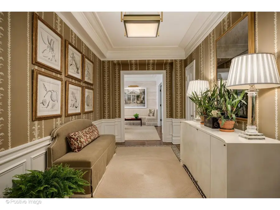 230 E Delaware Place #4W, Chicago, IL 60611 - #2