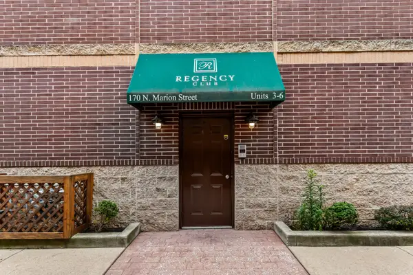 170 N Marion Street #3, Oak Park, IL 60301