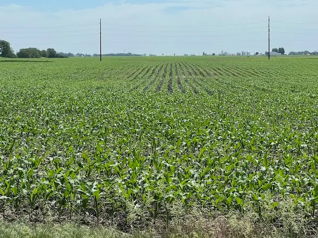 00 Scott Park Road, Eldridge, IA 52748 - #3