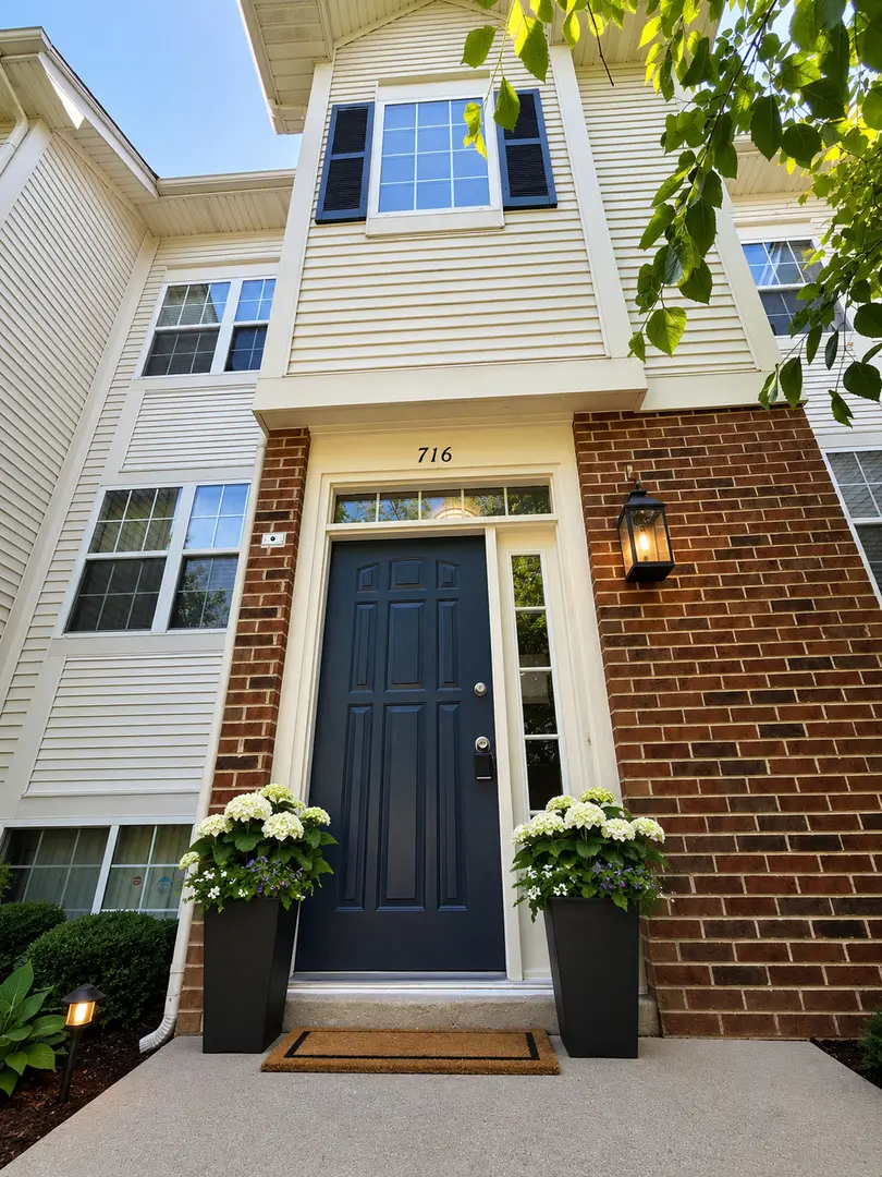 716 River Mill Parkway, Wheeling, IL 60090 - #1