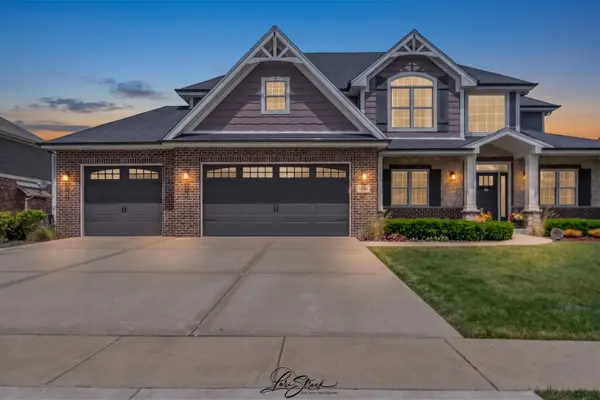 13934 W Wilderness Lakes Drive, Manhattan, IL 60442