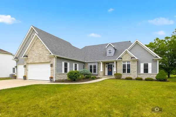 25204 W Indian Boundary Court, Plainfield, IL 60544