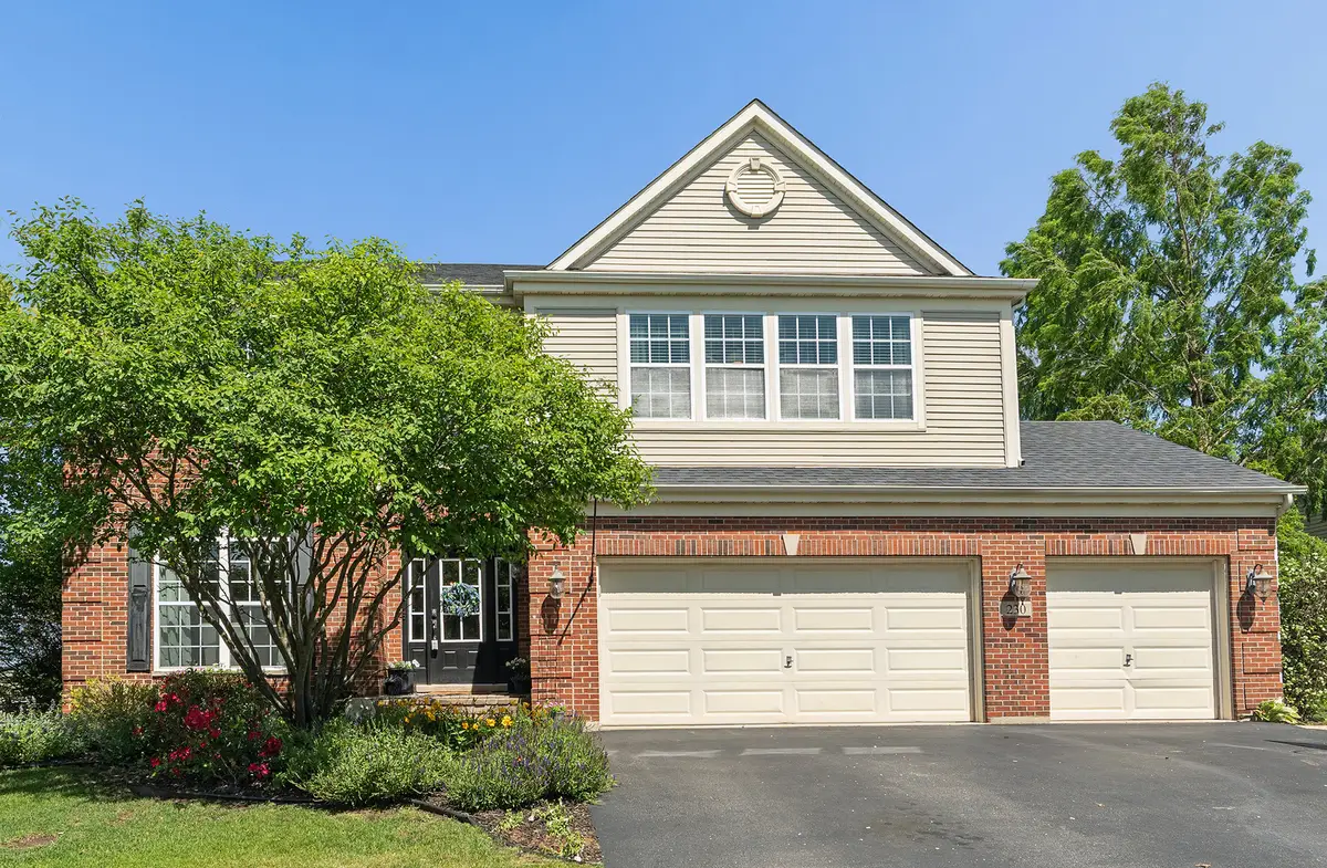 230 Ian Avenue, New Lenox, IL 60451 - #1