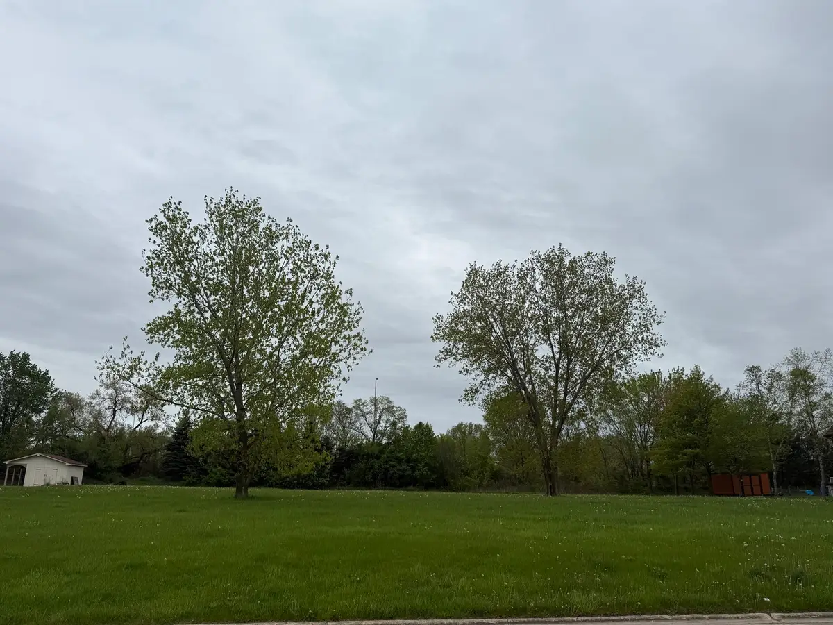 24317 Schubert Lane, Shorewood, IL 60404 - #1