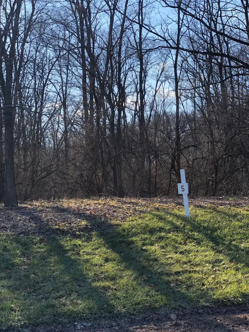 17220 Oak Meadow #5 Oak Meadow Court Court, Homer Glen, IL 60491 - #1