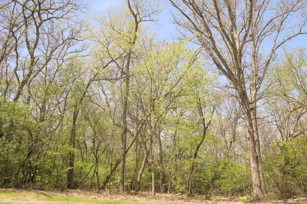 911 Echo (lot 5) Trail, Marengo, IL 60152