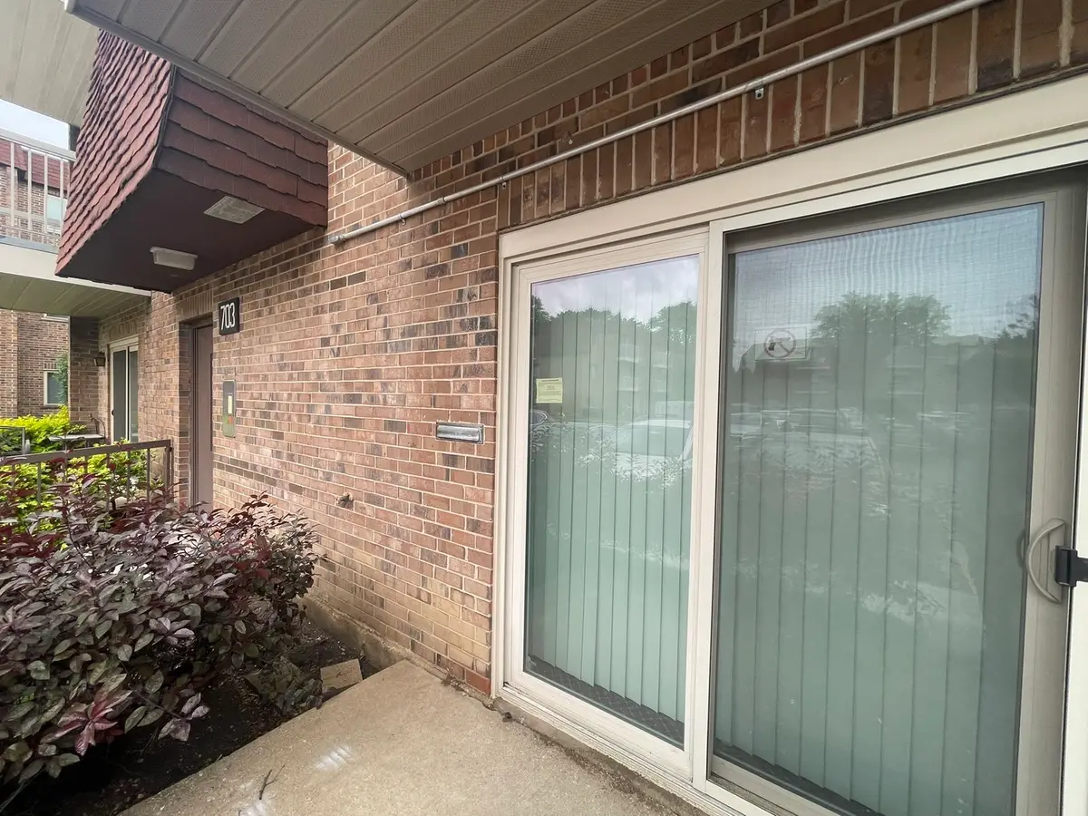 703 W Central Road #A2, Mount Prospect, IL 60056 - #1