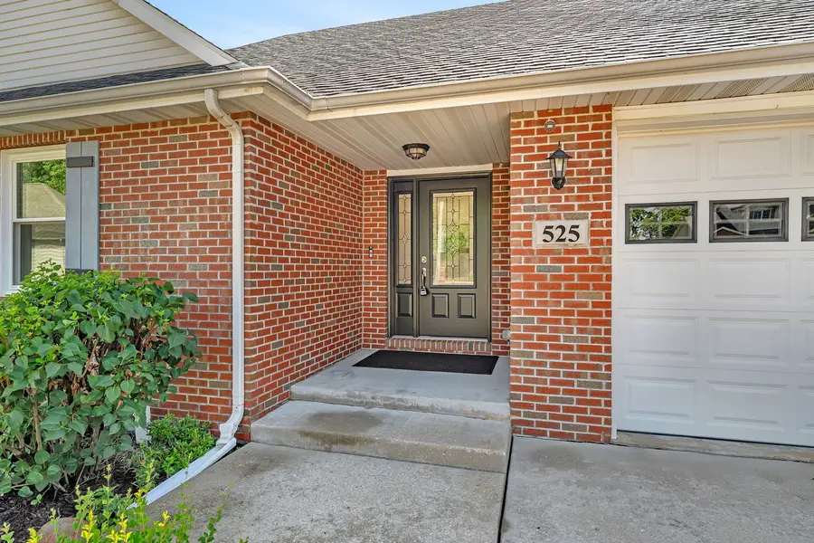 525 Stacey Court, Braidwood, IL 60408 - #3