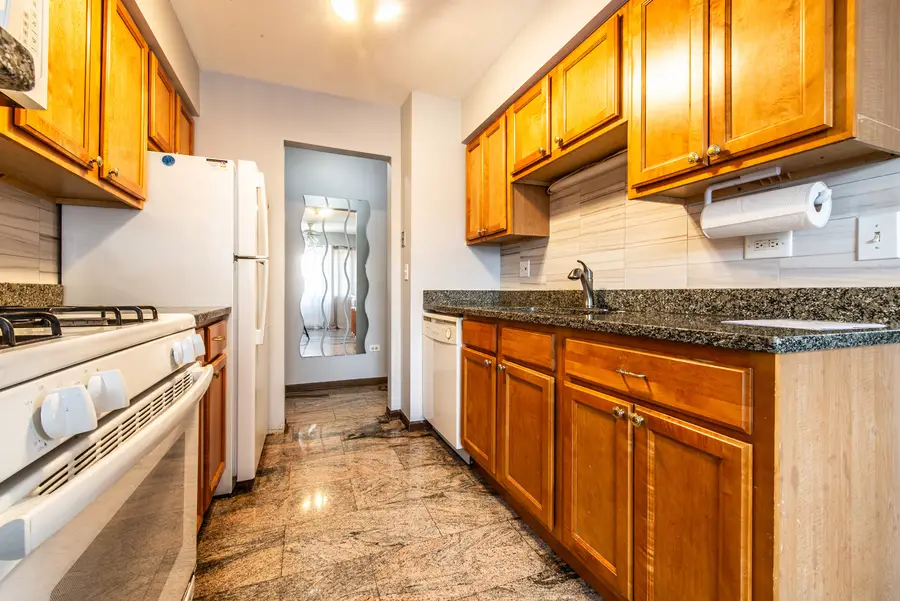 8641.5 W Foster Avenue #3A, Chicago, IL 60656 - #3