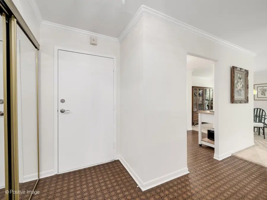 1001 N Mill Street #311, Naperville, IL 60563 - #2