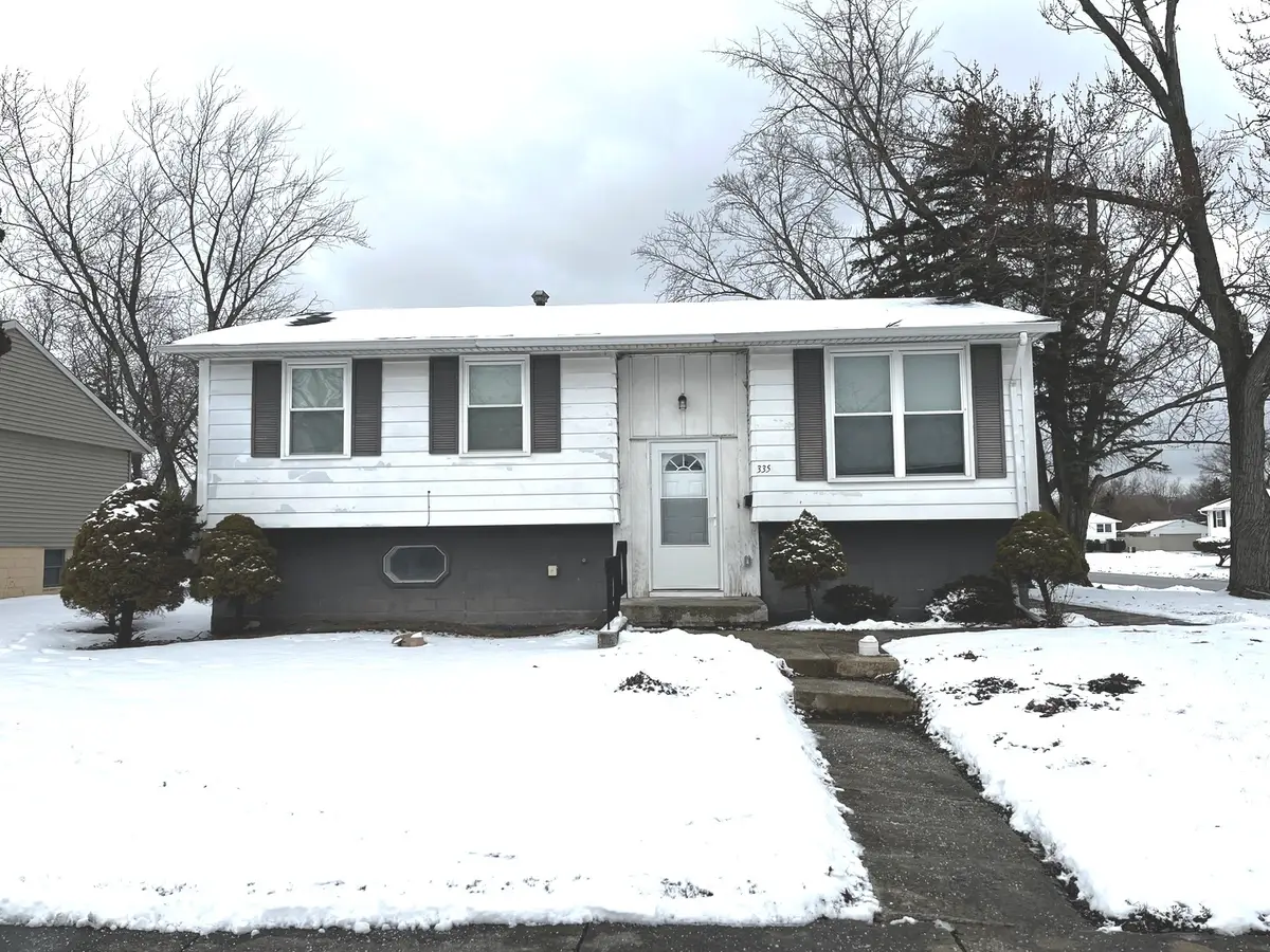 335 E Mulberry Drive, Glenwood, IL 60425 - #1