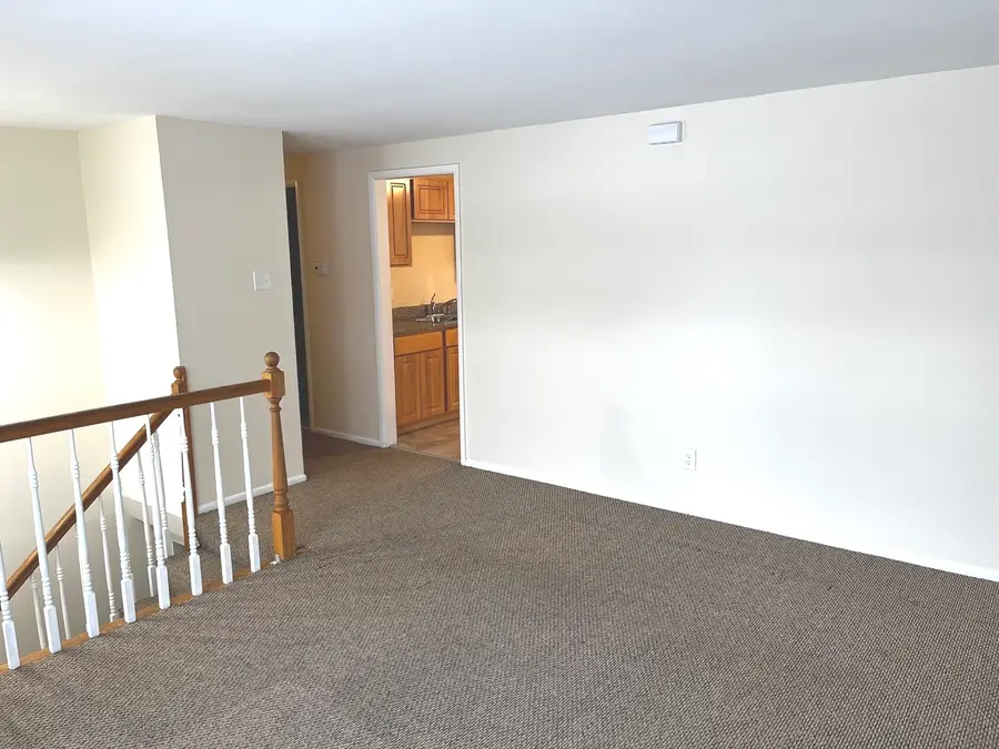 335 E Mulberry Drive, Glenwood, IL 60425 - #2