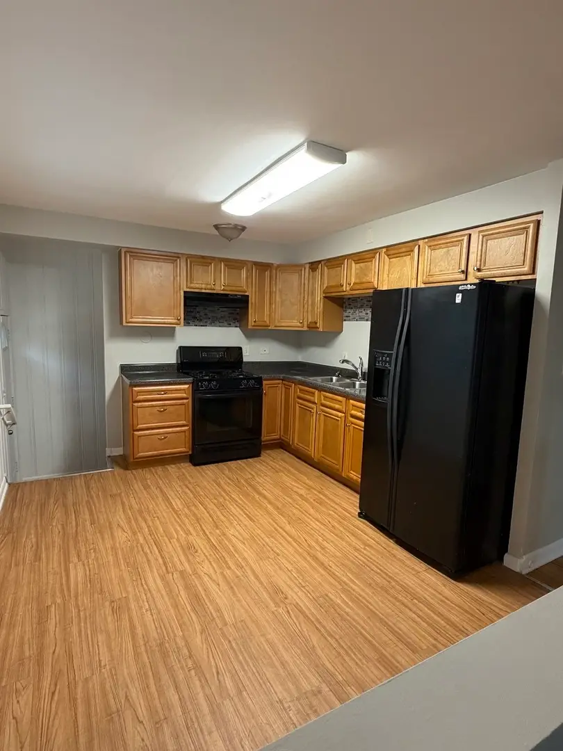 166 Doris Lane, Chicago Heights, IL 60411 - #3