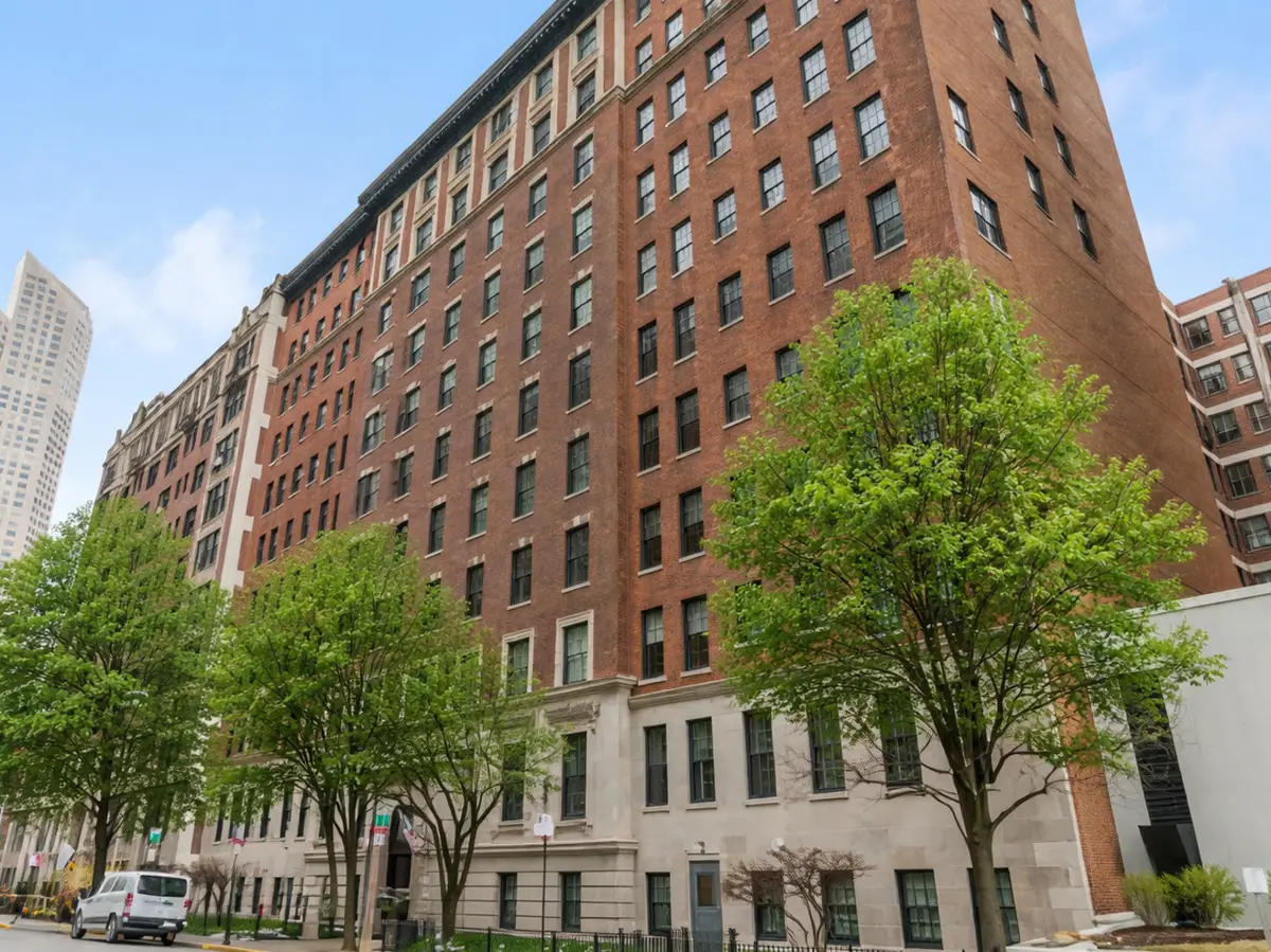 232 E Walton Place #5E, Chicago, IL 60611 - #1