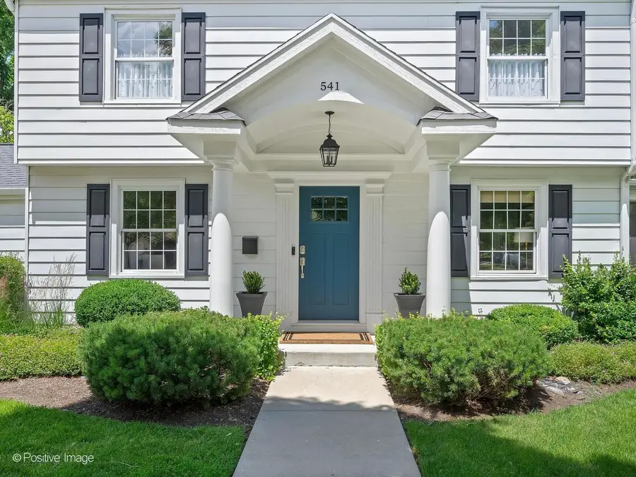 541 E Hickory Street, Hinsdale, IL 60521 - #3