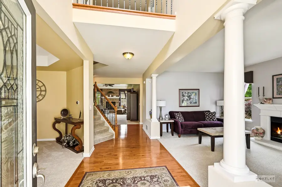 233 Willington Way, Oswego, IL 60543 - #3