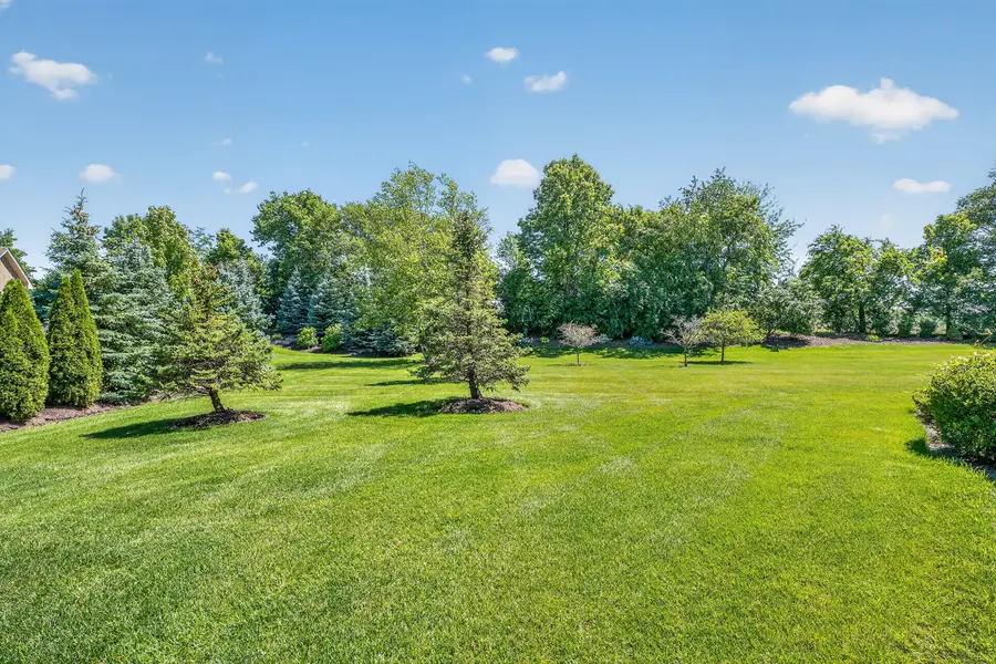 8967 Holland Harbor Circle, Frankfort, IL 60423 - #2