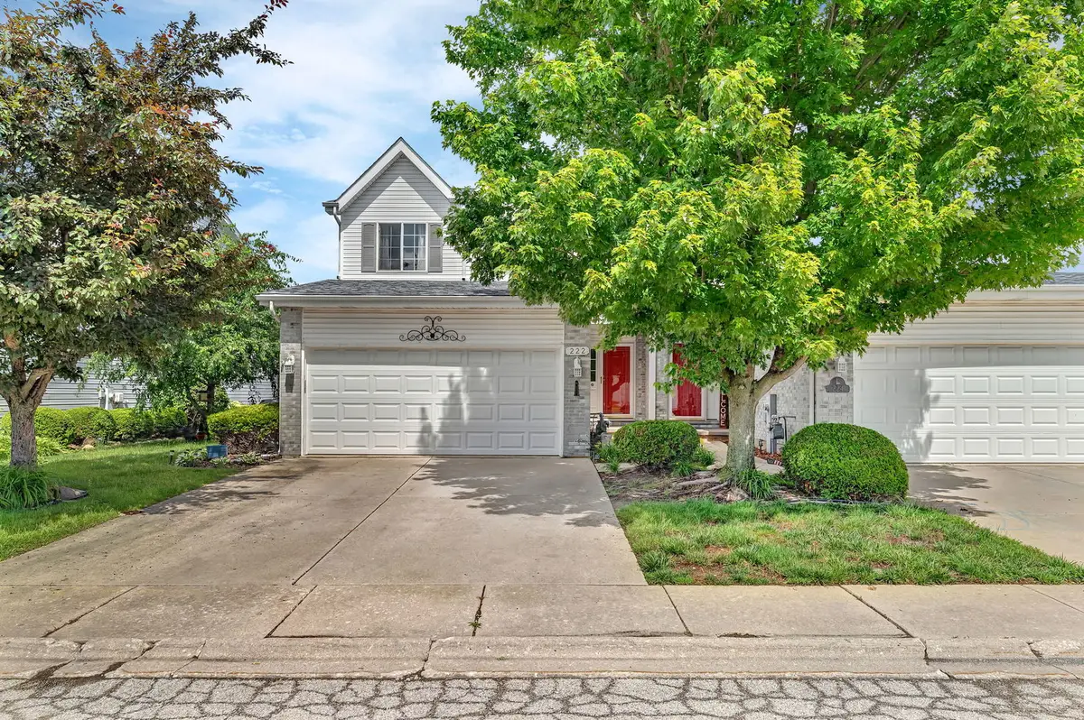 222 Harbor Landing, Braidwood, IL 60408 - #1