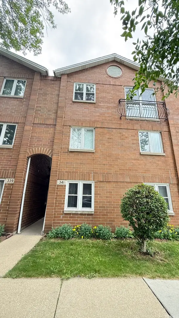 341 W 24th Street #3, Chicago, IL 60616