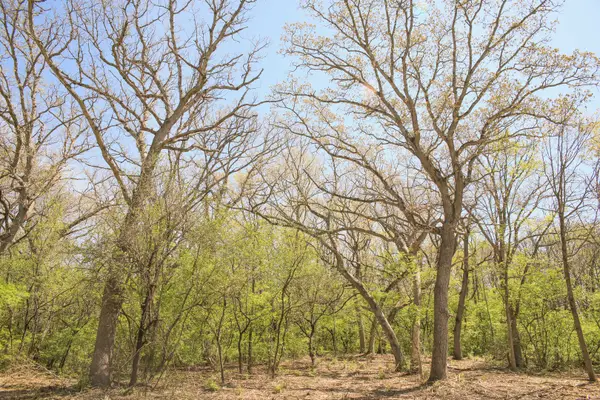 802 Echo (lot 23) Trail, Marengo, IL 60152