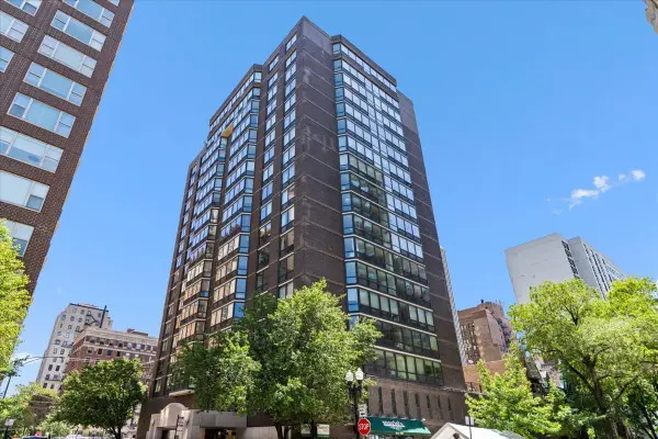 21 W Goethe Street #4H, Chicago, IL 60610