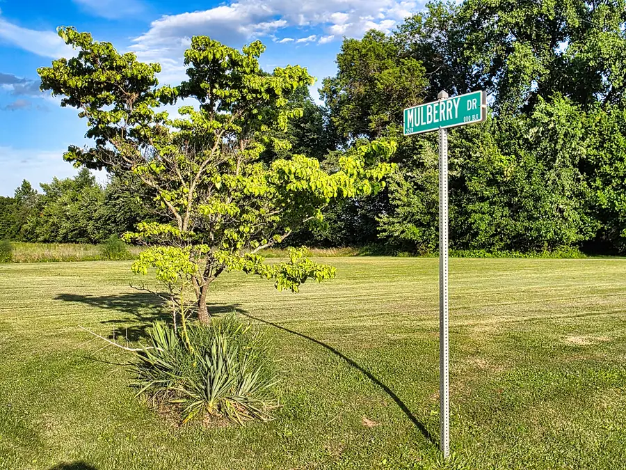 00 Mulberry Drive, Flora, IL 62839 - #2
