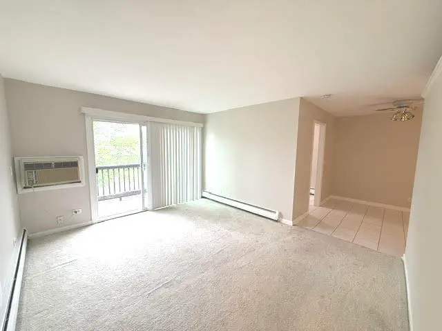 330 N Carter Street #203, Palatine, IL 60067 - #3