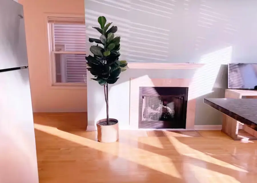 1028 W 20th Place #1, Chicago, IL 60608 - #2