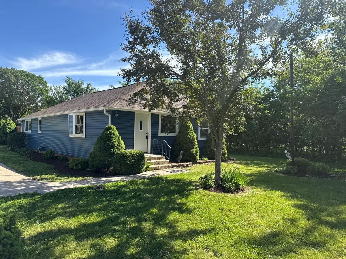26004 Willow Lane, Wilmington, IL 60481 - #1