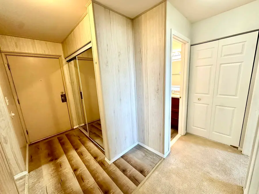 1880 Bonnie Lane #203, Hoffman Estates, IL 60169 - #3