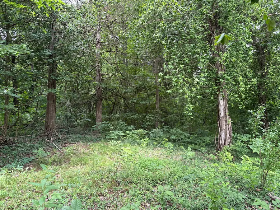 3258 Grassy Road, Carbondale, IL 62902 - #3