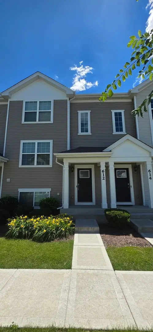 612 Spring Leaf Drive, Joliet, IL 60431 - #2