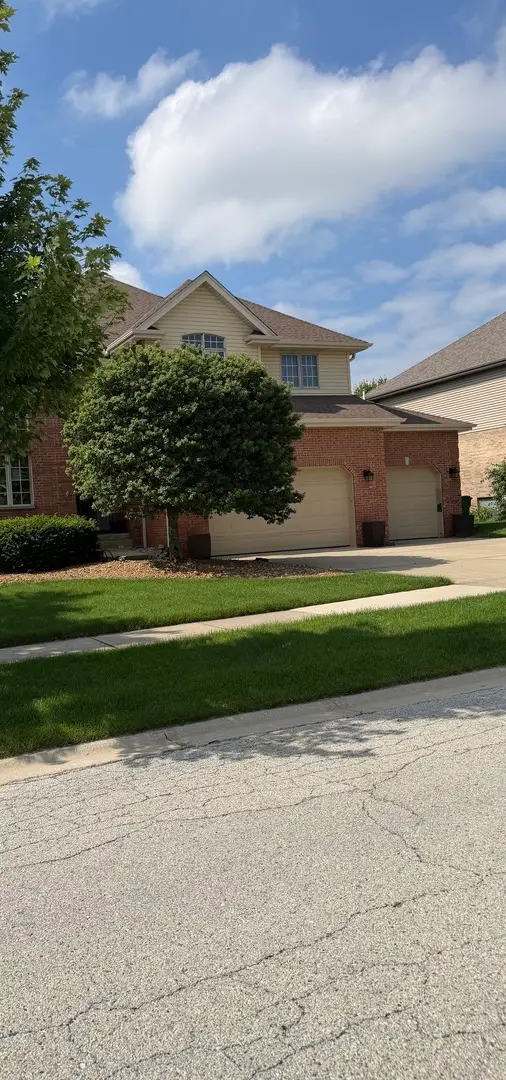10907 Anthony Drive, Orland Park, IL 60467 - #3