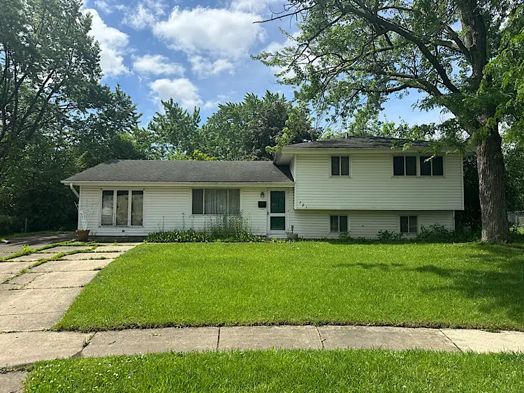 721 Grace Court, Schaumburg, IL 60193 - #1