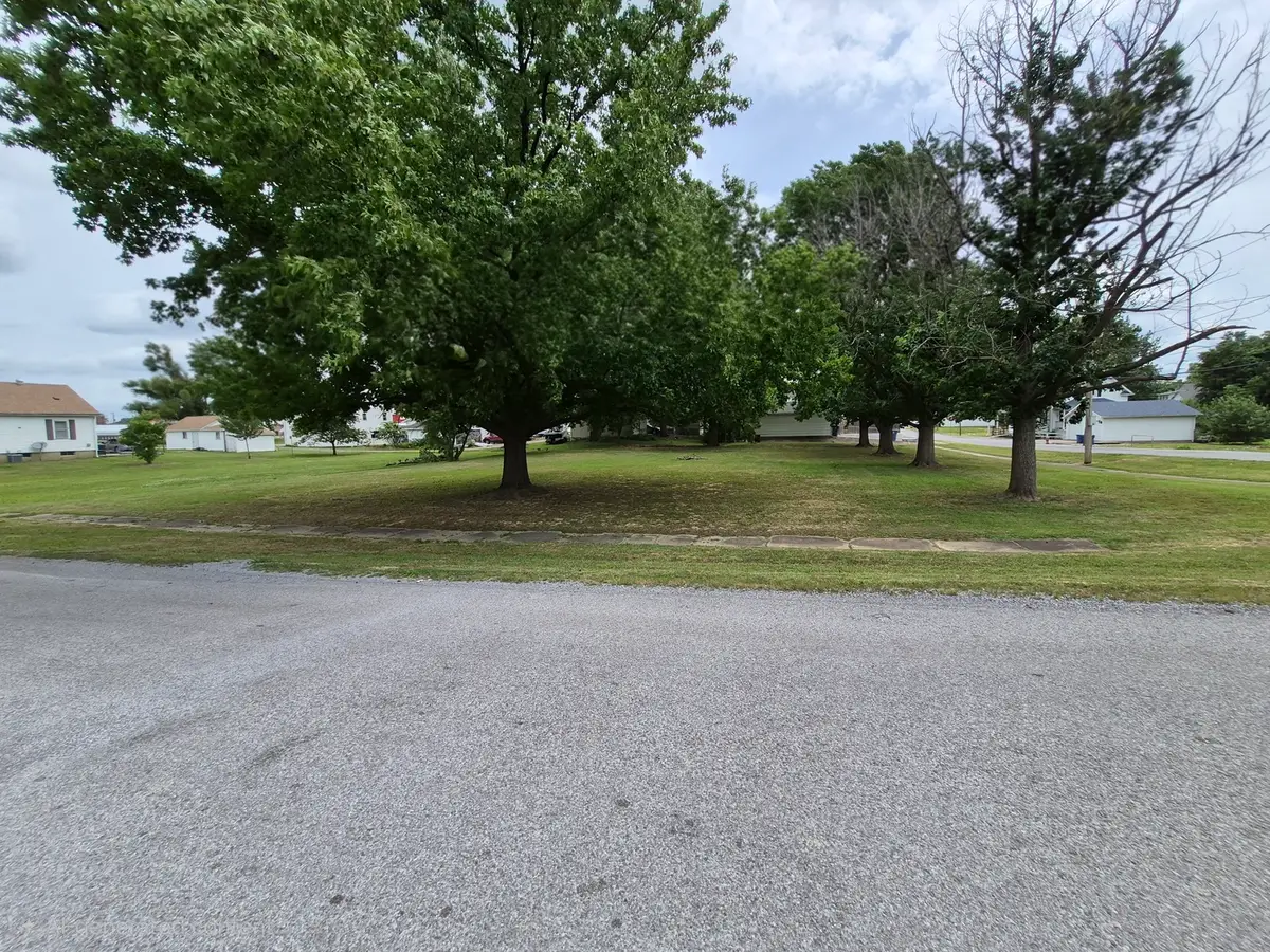 0000 S Emma Street, Christopher, IL 62822 - #1