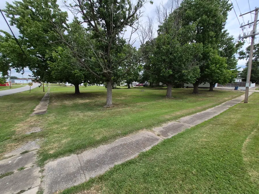 0000 S Emma Street, Christopher, IL 62822 - #2