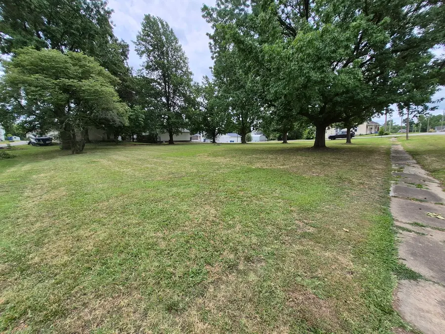 0000 S Emma Street, Christopher, IL 62822 - #3