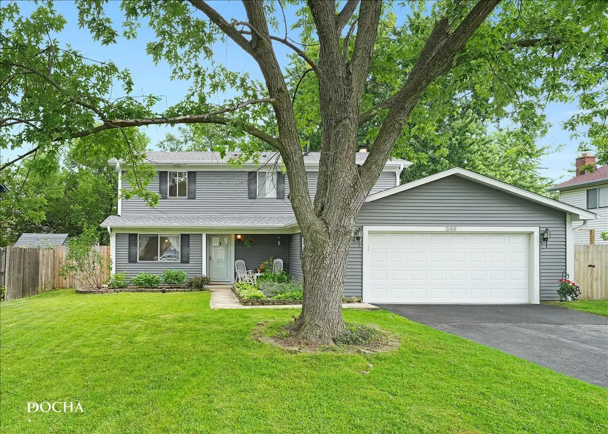 346 Thistle Drive, Bolingbrook, IL 60490 - #1