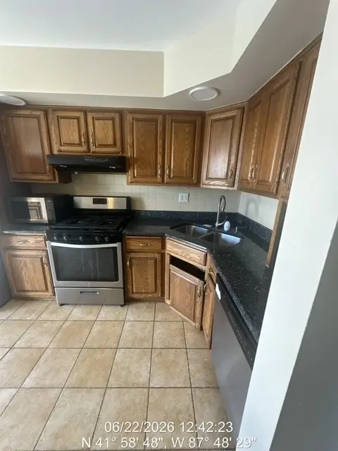 7229 W Higgins Avenue #504, Chicago, IL 60656 - #2