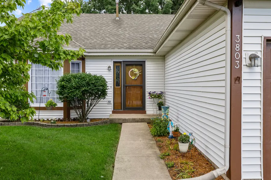 3803 Hennepin Drive, Joliet, IL 60431 - #2