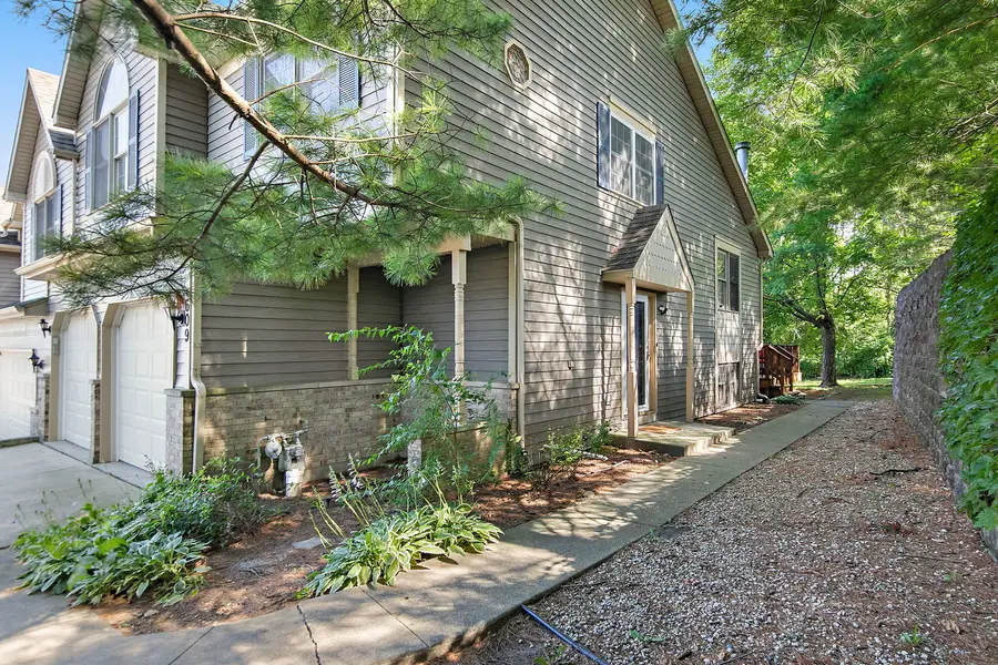 609 River Bluff Drive, Carpentersville, IL 60110 - #2