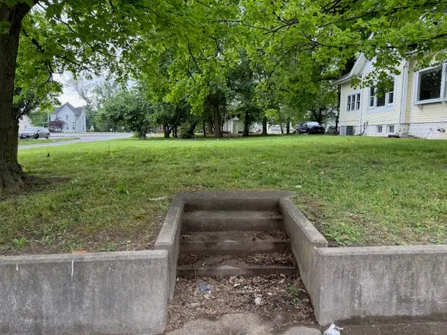 313 W Walnut Street, Carbondale, IL 62901 - #1