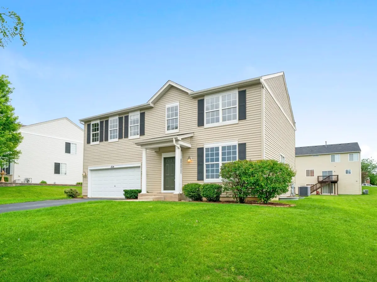 824 Briarcliff Drive, Minooka, IL 60447 - #1