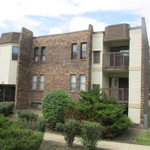 2013 Country Club Drive #11, Woodridge, IL 60517 - #2